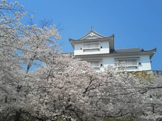 Ԍ