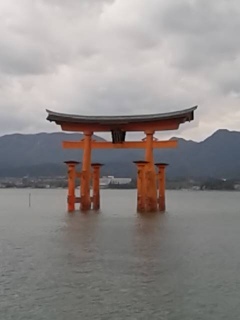 {
